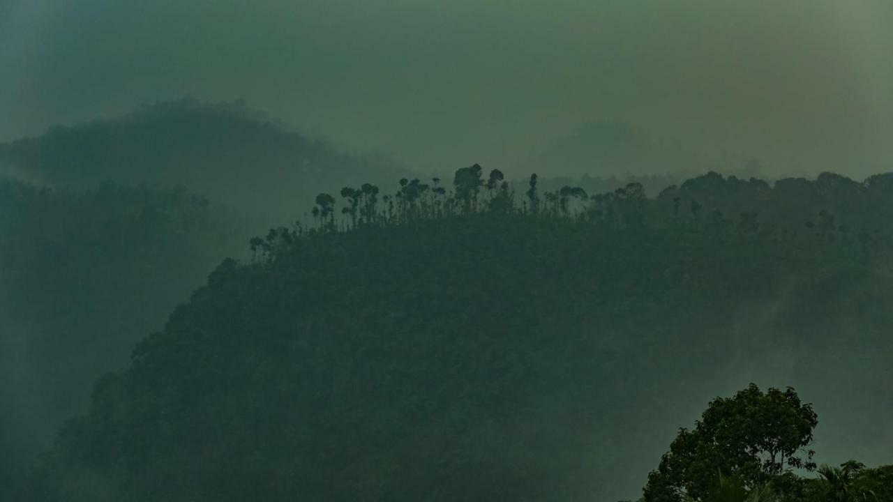Homestay Namaha Meppādi 外观 照片